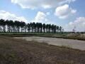Woonboerderij in Gasselternijveenstemond